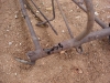 fotos_site_040